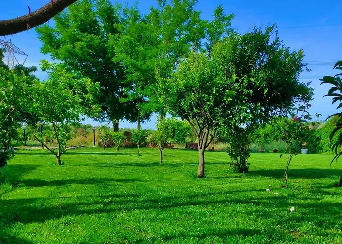 ゲストハウス S'istentale ポルト・トッレス