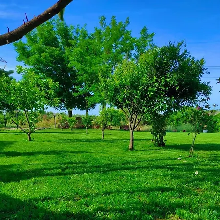 Maison d'hôtes S'istentale Porto Torres